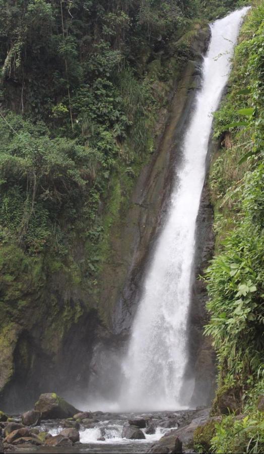 Quinta Los Volcanes Τουριάλμπα Εξωτερικό φωτογραφία